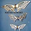 BR48952 nautical wall hanging Butterfly