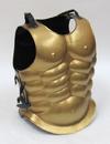 ir80704bb Golden Muscle Armor